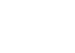 GarageLife Logo White 300